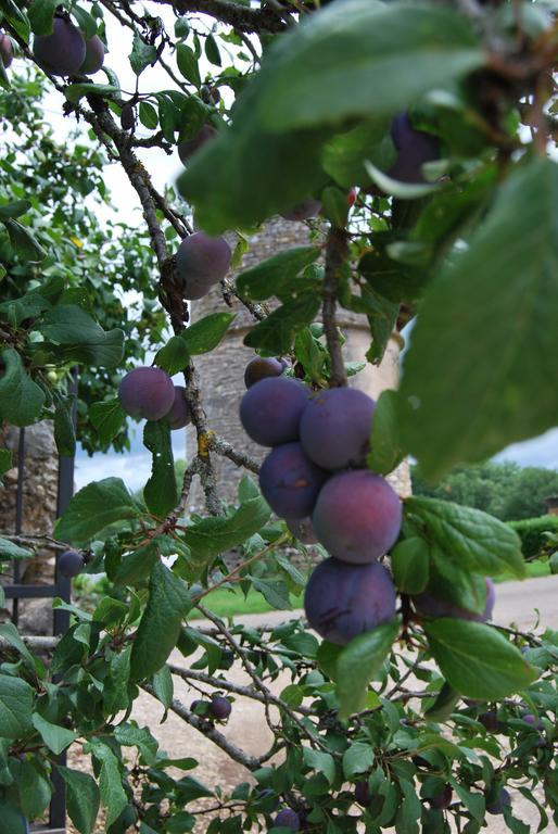 Bed and Breakfast Mas De Garrigue Calvignac Экстерьер фото